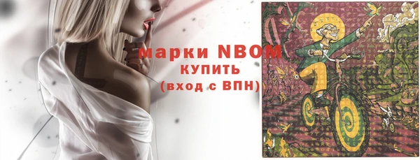 молекула духа Балахна