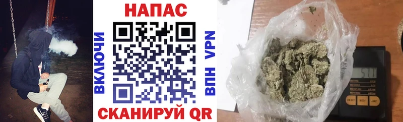 Бошки марихуана THC 21%  блэк спрут ссылка  Кубинка  сколько стоит 